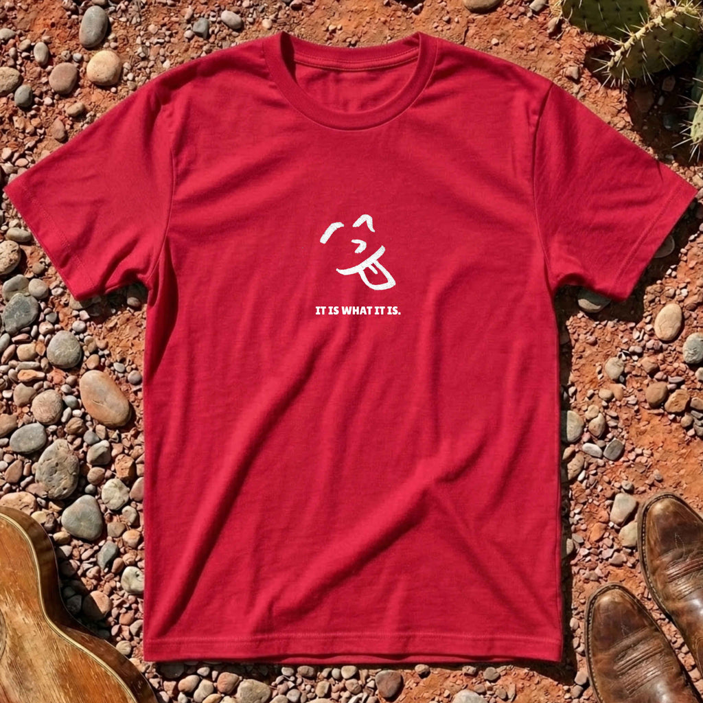 IT IS WHAT IT IS. T-Shirt